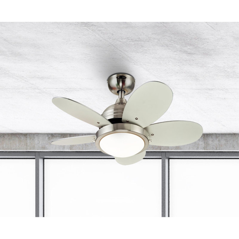 Ventilateur de plafond à DEL standard à 5 pales de 30 po avec chaîne de traction et ensemble d'éclairage inclus, DEL