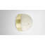 Lucid 1 - Light Flush Mounted Sconce-73341795