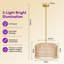 3 - Light Chandelier