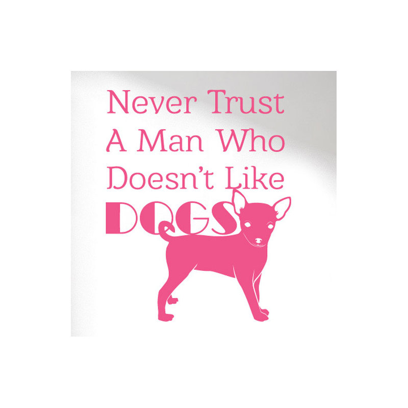 Non-Wall Damaging Wall Decal, Pink, Large