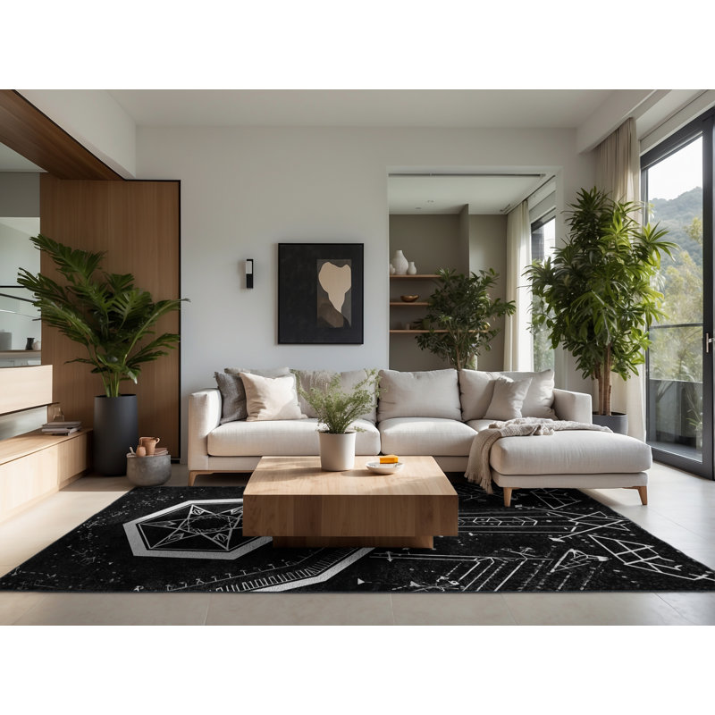 Tapis noir moelleux moelleux Evart, 7 x 9