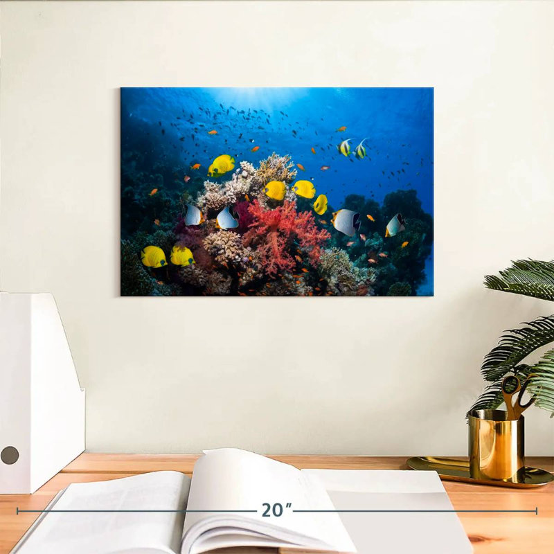 Brampt Underwater Red Sea Life, 8" H x 12" W
