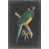 Black Floater Framed