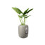 Pure Beads Pot Planter-48811436-48811440