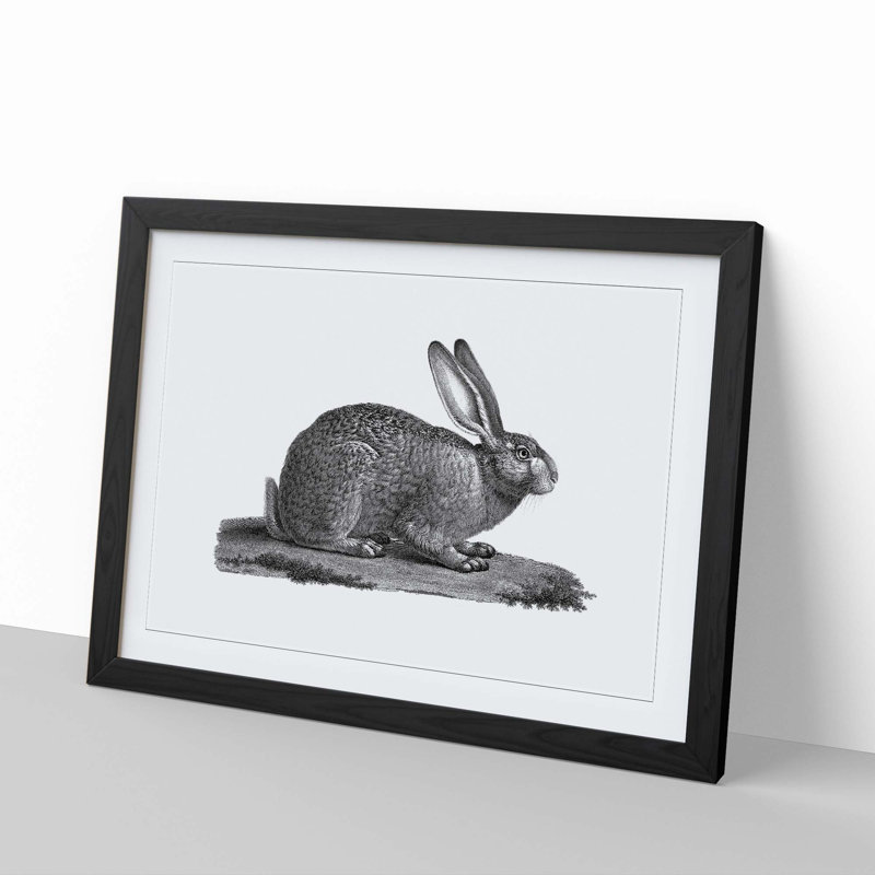 Illustration of a Hare - Framed Print, 48cm H x 65cm W x 2cm D, Black Framed