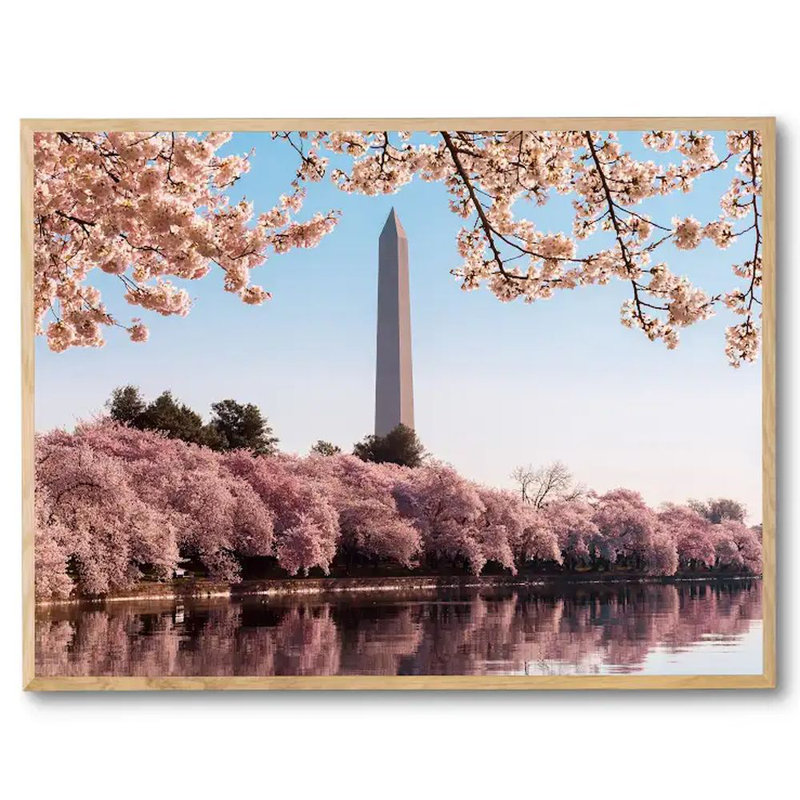 Monument de Washington à Cherry Blossom Time par Steven Heap, Toile naturelle avec cadre flottant, H 20 po x l 26 po