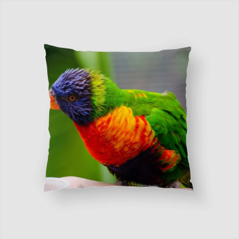 Microsuede Throw Pillow