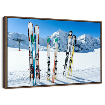 Snowy Mountain Skis