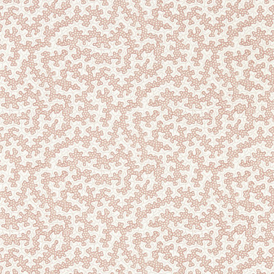 Truffle 10.05m x 52cm Matte Wallpaper Roll