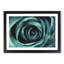 A Teal Rose - Picture Frame Painting Print-56633247-56633251