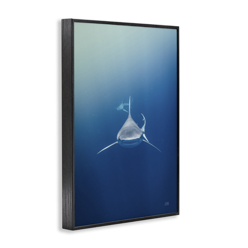 Tête de requin, estampe numérique par Max Blakesberg Studios, H 18 po x l 12 po, Giclée encadrée noir minuit