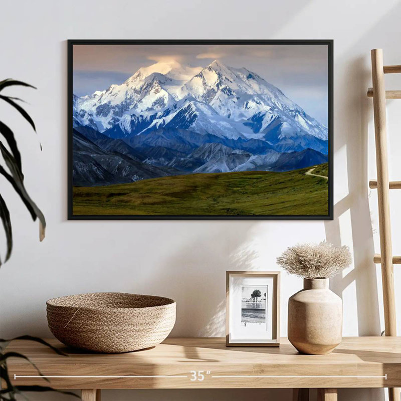 Denali en Alaska, 25 po x 17 po, Cadre flottant noir