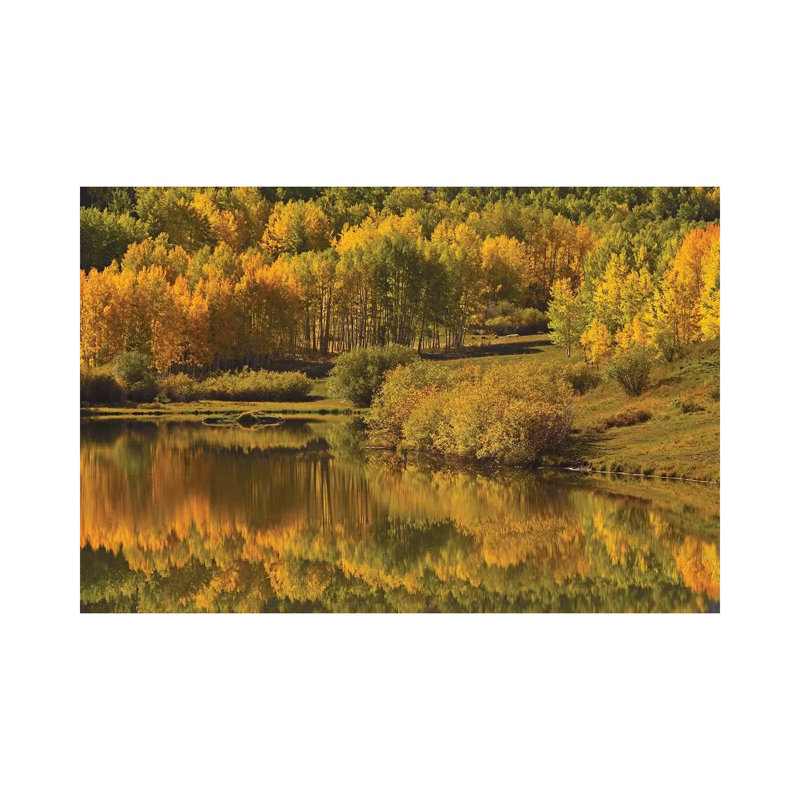 Aspen Reflections by Brian Wolf - Wrapped Canvas Print, 20.32 cm H x 30.48 cm W