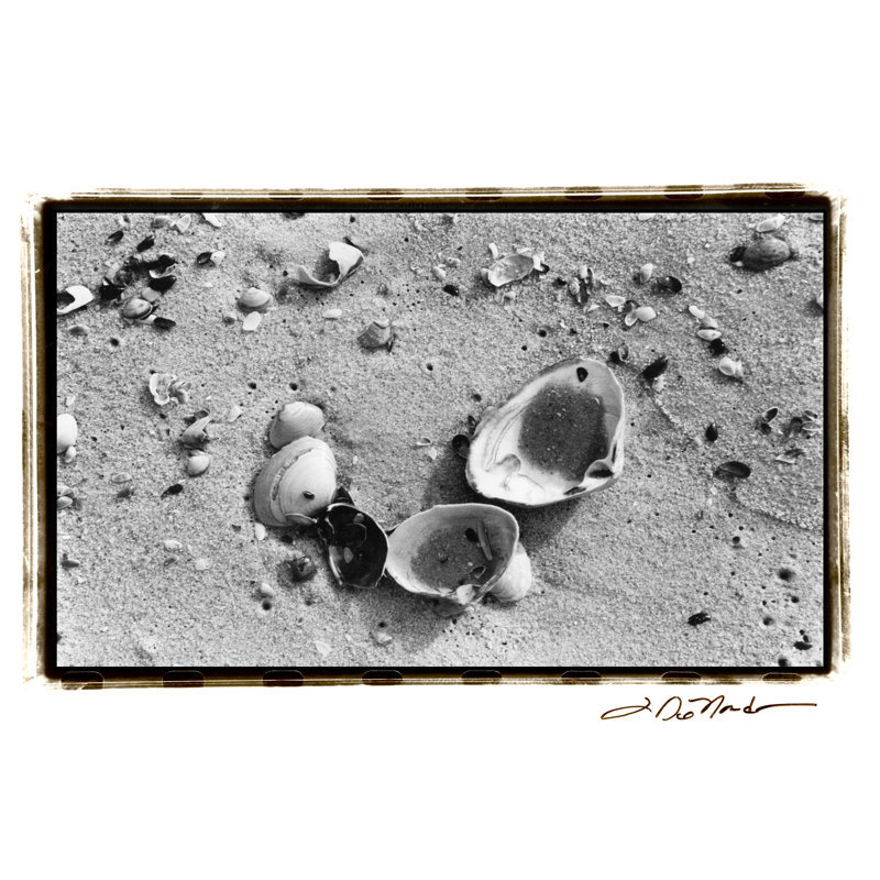 Sand Treasures IV by Laura DeNardo - Wrapped Canvas Print, 30cm H x 46cm W x 3.8cm D