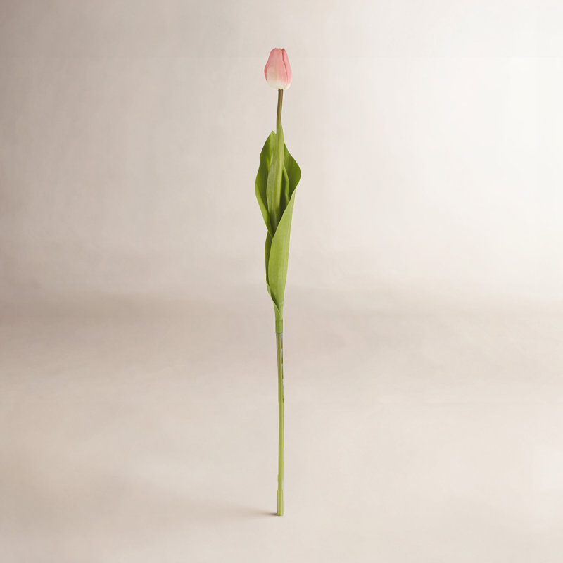 Ensemble de 12 tulipes tiges florales, Rose