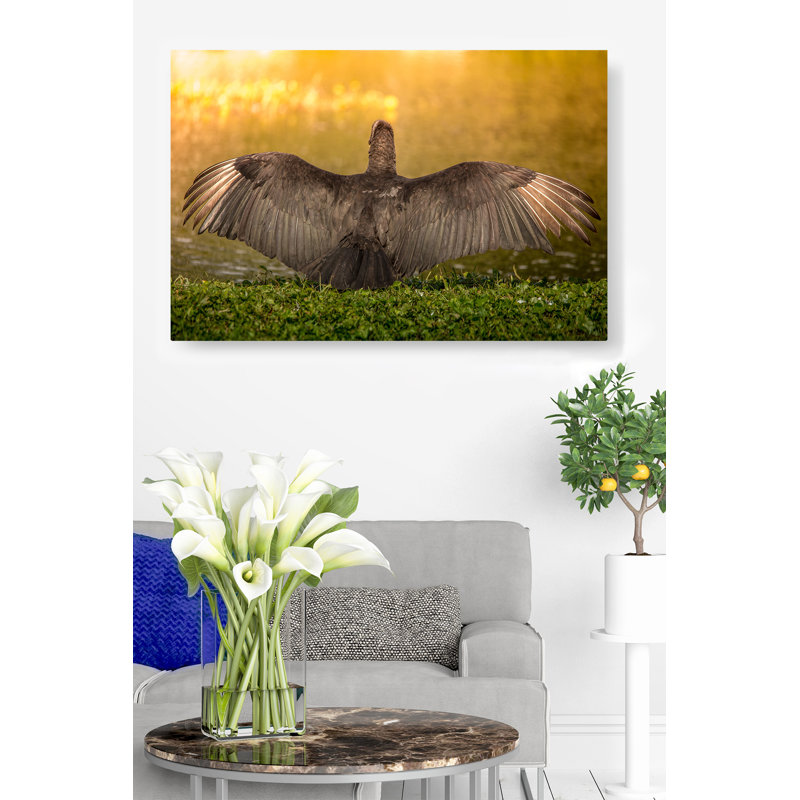 Kerriana bel oiseau déployant ses ailes dans un magnifique coucher de soleil - reproduction de photo sur toile tendue