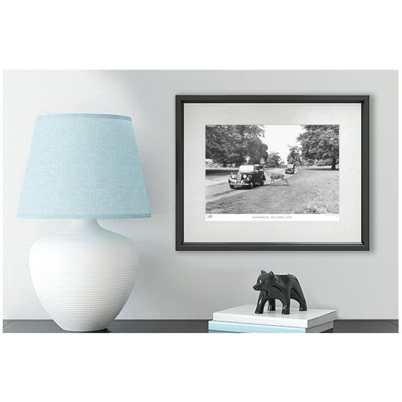 Richmond, The Park C1955 by Francis Frith - Single Picture Frame Print, 28cm H x 36cm W x 2.3cm D