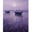 Purple Solitude