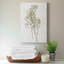 «Farmhouse Pressed Flower I», impression sur toile tendue-405824208