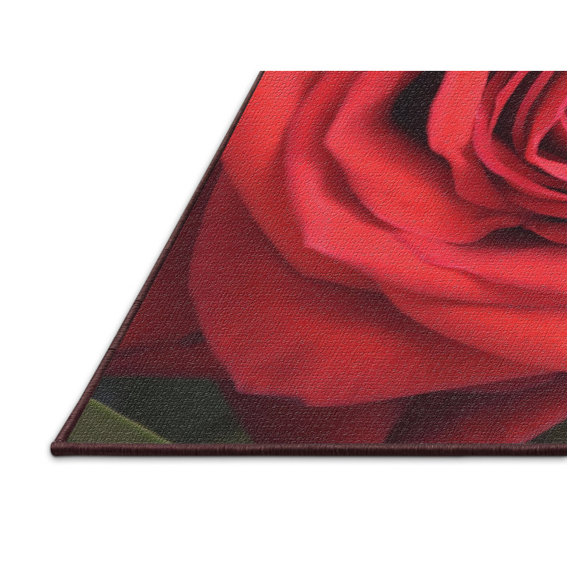 Indoor Rug, Rectangle 2' x 5'