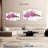 Harnek Fresh Orchid Flowers