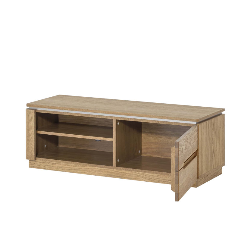 Montenegro Solid + Manufactured Oak Wood 1-Door TV Stand for TVs up to 50"