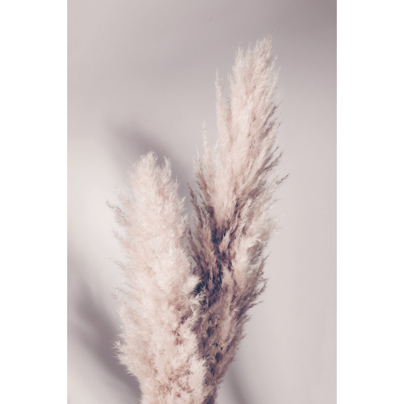 Wrapped Canvas Print, 76.2 cm H x 50.8 cm W