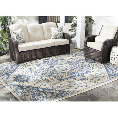Courtyard Performance Oriental Indoor/Outdoor Area Rug
