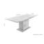 Fauzia Extendable Dining Table-1154730633-1129458513