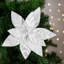 Tiges de poinsettia