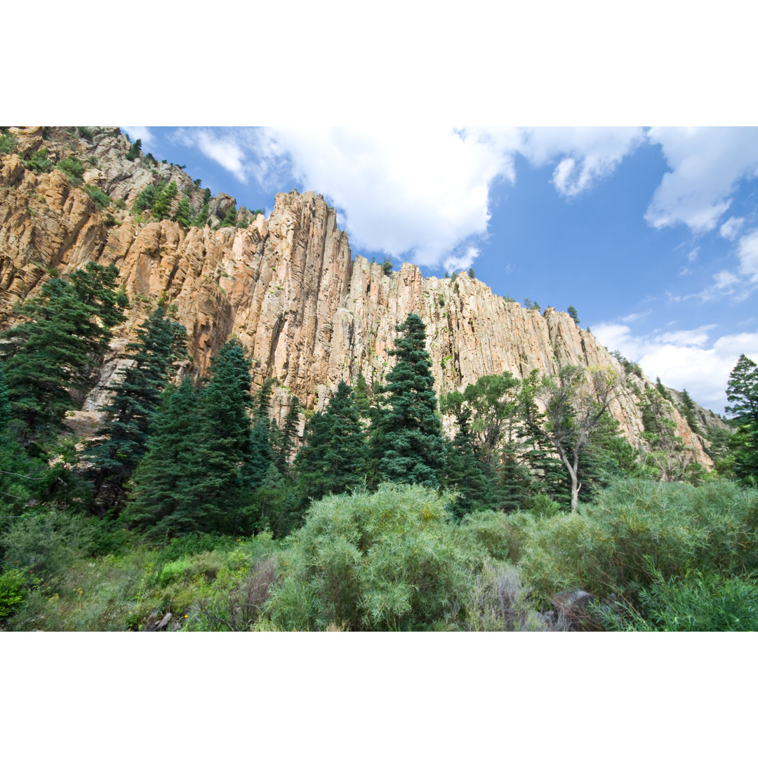 Cimarron Canyon State Park - Fotografie auf Leinwand