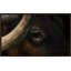 Hidden Eyes Print by Adam Mowery-73260542-73304017