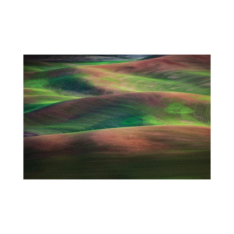Springtime, The Palouse, Washington by Jim Nilsen - Gallery-Wrapped Canvas Giclée on Canvas, Wrapped Canvas