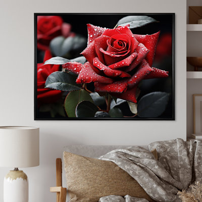 " Water Drops On Red Rose Majesty I "