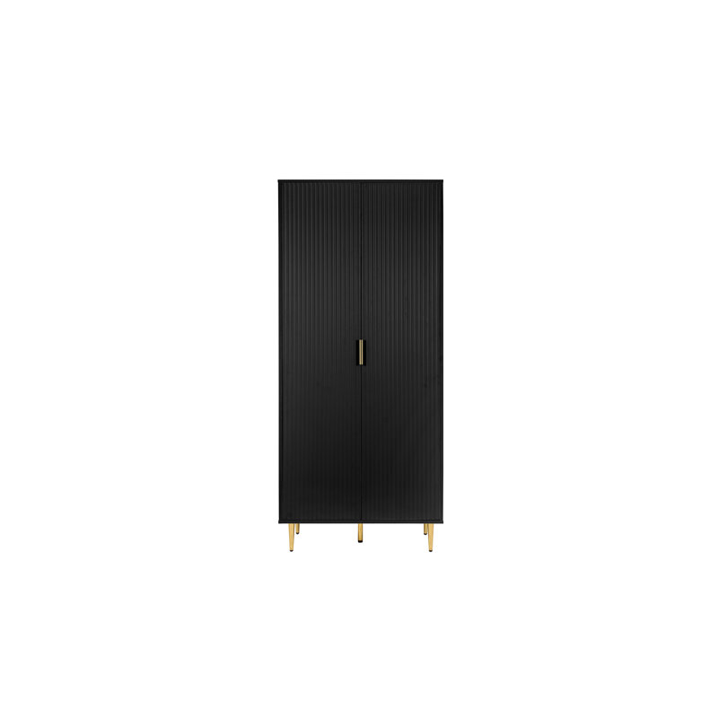 Bethzaida 2 Door Fluted Wardrobe, Matte Black