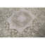 Oriental Area Rug