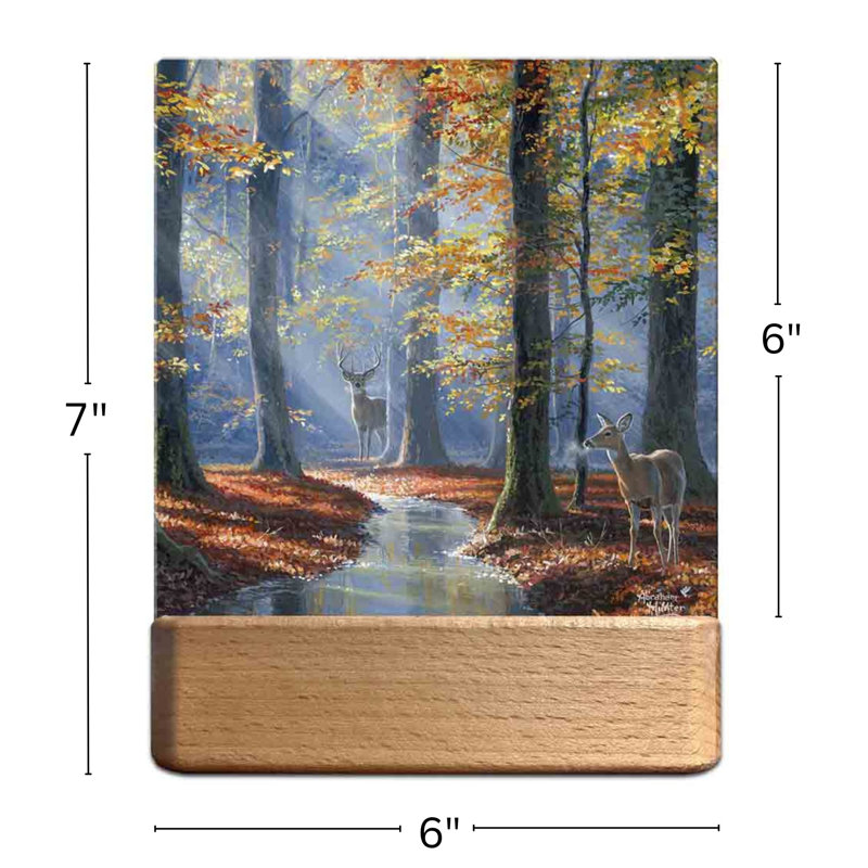 October Courtship LED Nightlight