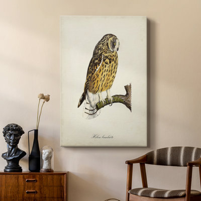 French Owls II -Custom Wrapped Gallery Cavas