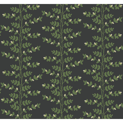 Papier peint Climbing Vine