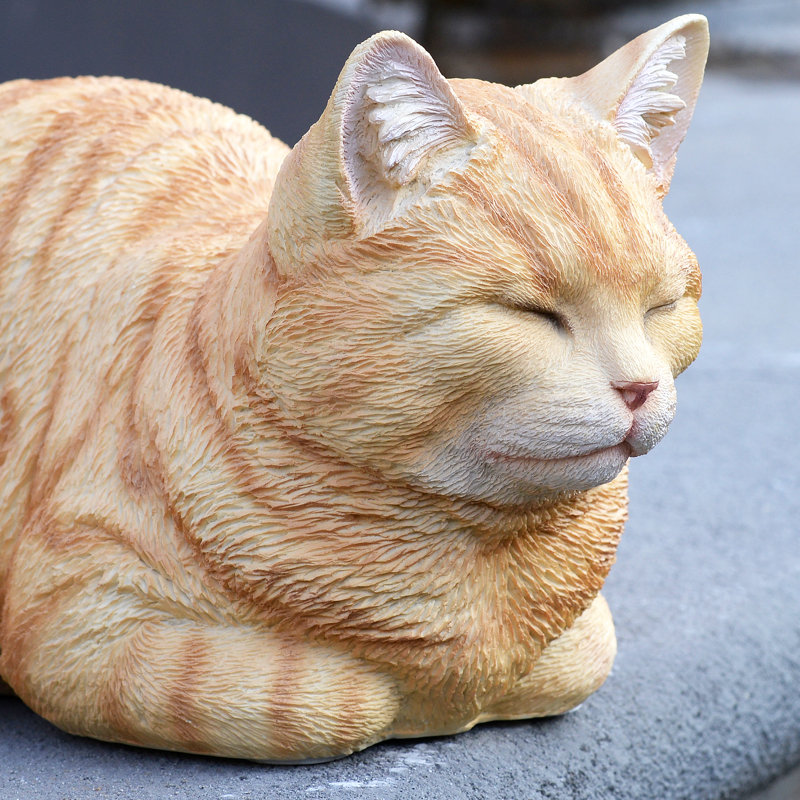 Chat tigré orange au repos, Orange