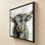 Vache Highland-276928945-276928950