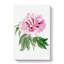 Pink Tree Peony Flower - Wrapped Canvas-55325348
