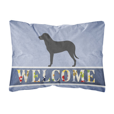  Coussin Maj Mall