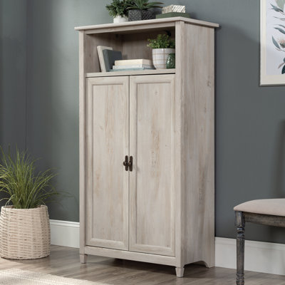 Ariza 2-Door Manufactured Wood Accent Cabinet