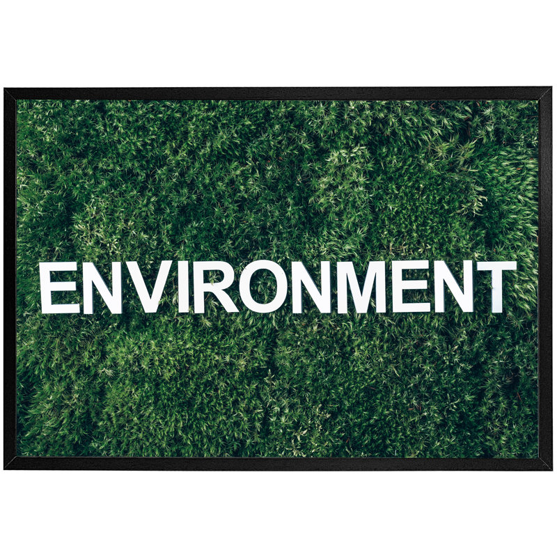 Elberon Single Picture Frame Print, Black Framed, 76cm H x 114cm W x 4cm D