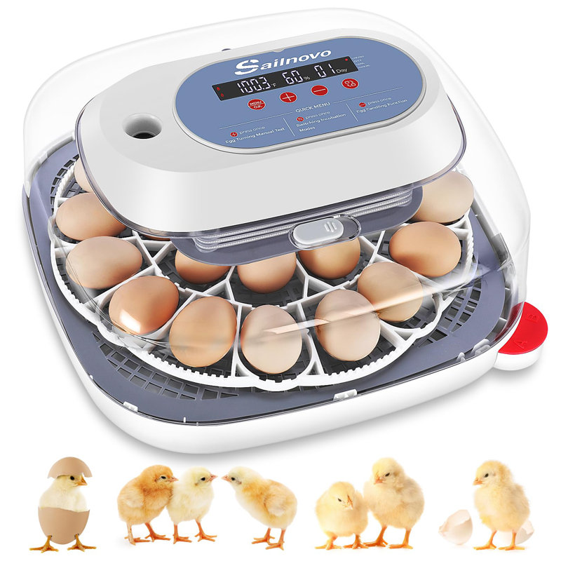 24 Egg Incubators For Hatching Eggs, 4 Modes Egg Incubator With Automatic Egg Turning And Humidity Display, Egg Candler - 360° View With Clear Window Incubators For Hatching Chicks