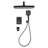 Complete Shower System with Digital Display