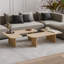 Toro 2 Pieces of Coffee Table-1321656950