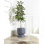 ARAUCARIA Handmade Ceramic Pot Planter