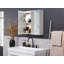 Tellis 600mm W 600mm H Surface Frameless Medicine Cabinet Mirror 2 Fixed